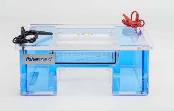 Fisherbrand™ Horizontal Electrophoresis Systems