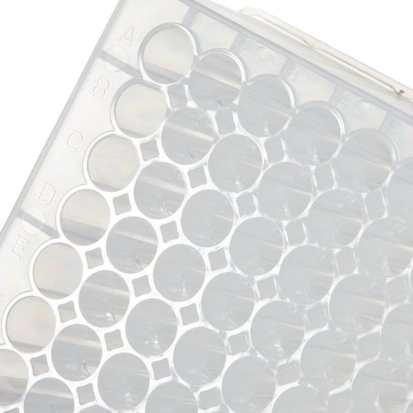 (IVD)96WELL PP MICROPLATES STERILE 2ML 6