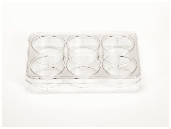 MULTI-DISH 6WELL STRL 75/CS