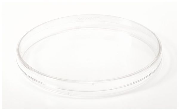 Thermo Scientific™ Nunc™ Cell Culture/Petri Dishes, 150cm<sup>2</sup>, Nunclon Delta treated, lid, vent