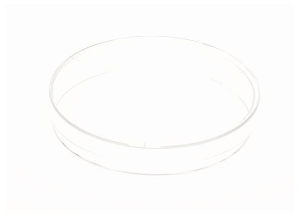 PETRIDISH 140X20 STR PS 80/CS