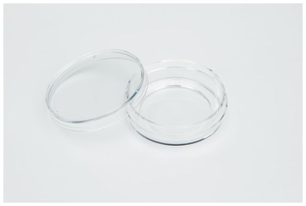 DISH 27MM NUNC GLASSBASE 20CS