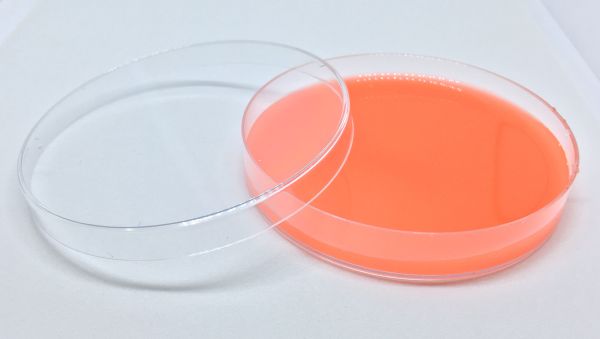 90mm Petri Dish Gamma Irradiation, 500/B