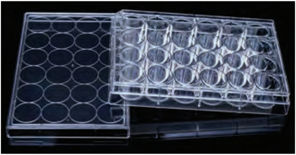 PLATE, TISSUE CULTURE, SURFACE TREATED, FLAT BOTTOM,
INDIVIDUAL WRAP, STERILE, 24 WELL