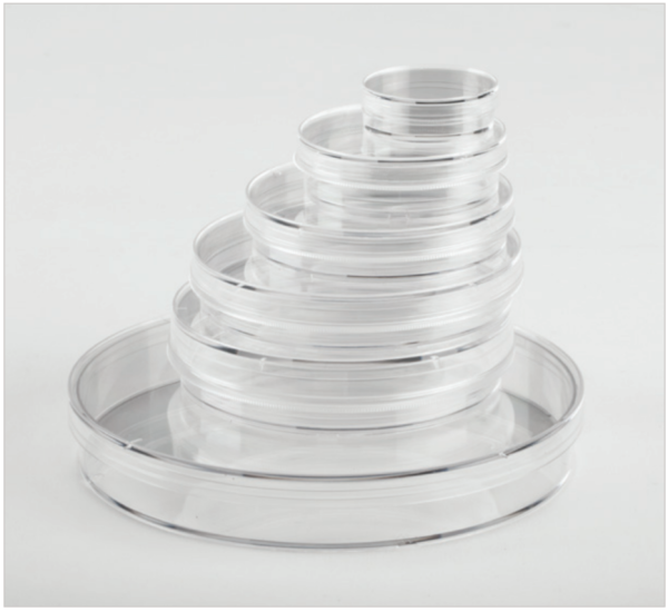 TISSUE CULTURE DISH VENT, 150 X 20MM