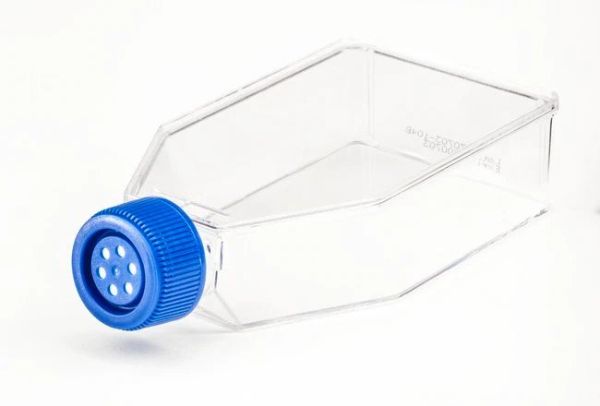 FILTERED TISSUE CULTURE FLASK, 75CM2