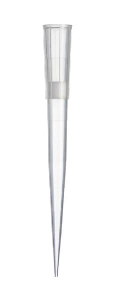 200UL LR TIP STER FLTR 960/PK