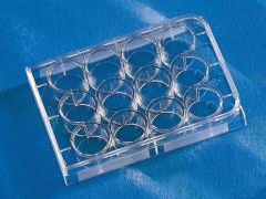 12 Well Clear Tissue Culture, 50/Cs