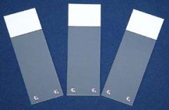 Fisherbrand™ Superfrost™ Excell™ Microscope Slides