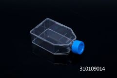LabServ 25cm2 Flask, Canted Neck, filter