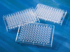 96 Well Clear Microplate wt Lid, 100/Cs