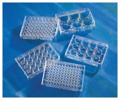 Microplate wt Low Evaporation Lid, 50/Cs