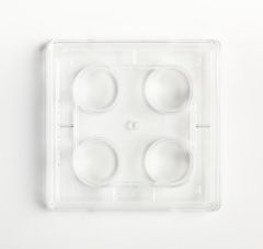 4 well TC multidish 100/case