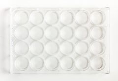 Fisherbrand 24 well TC multidish 100/cas