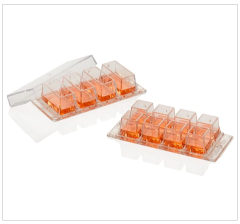 Thermo Scientific™ Nunc™ Lab-Tek™ Chambered Coverglass, Sterile, 1.2 to 2.0mL, 2 non-removable wells