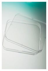 PETRI DISHES, SQUARE, 120 X 120 X 17MM HT, VENTED, PS
(GREINER OR EQUIVALENT)