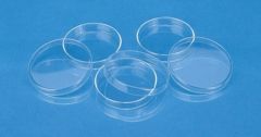 Petri-Dishes Resistance Glass 80 X 16.5m