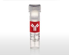 (NEA)(HAZ) FERRIC CHLORIDE CS, 120ML