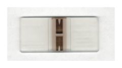 Hausser Bright-Line Phase Hemacytometer,