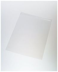 4X7 CL LDPE 2MIL ZP BG 1000CS