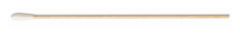 CALGISWAB 6IN WOOD STL 100/PK