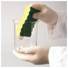 SPONGE GLASSWARE SCRUBBING PK2