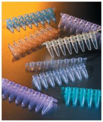 Corning™ 8-Well PCR Tube Strips