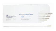 8INCYTOLGY NONSTR BRUSH 500CS