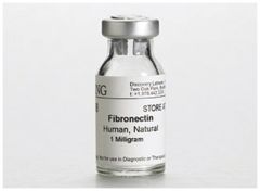 Corning™ Fibronectin, Human