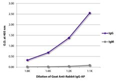  IgG Goat anti-Rabbit, AP, Polyclonal, Southern Biotech™