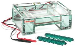 Thermo Scientific™ Owl™ EasyCast™ B2 Mini Gel Electrophoresis System