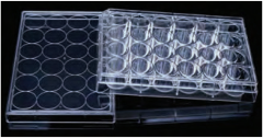 PLATE, TISSUE CULTURE, SURFACE TREATED, FLAT BOTTOM, STERILE, 12 WELL  (INDIVIDUAL WRAP, 50 pc/case)