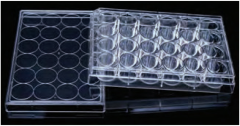 LabServ 96-well tissue culture plate, 10
