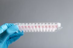 Akura™ 96 Spheroid Microplate (20/pack)