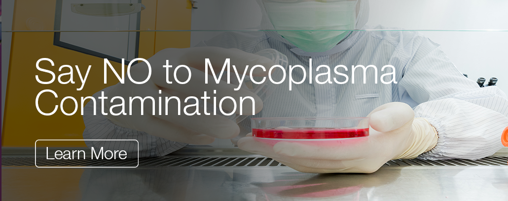 https://myfisherstore.com/singapore/blog/post/say-no-to-mycoplasma-contamination